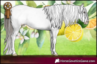 Horse Color:White Spotted Liver Red Dun Appaloosa 