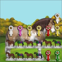 Horse Color:Chocolate Buckskin Dun Sabino Rabicano