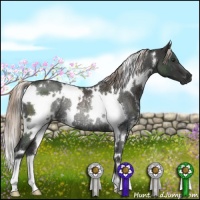 Horse Color:White Spotted Liver Chestnut Rabicano 