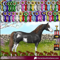 Horse Color:Liver Chestnut Sabino 