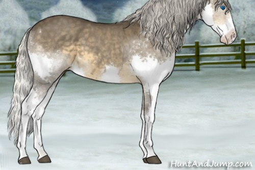 Horse Color:Silver Smoky Blue Roan Splash 