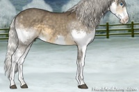 Horse Color:Silver Smoky Blue Roan Splash 