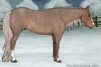 Horse Color:Silver Blue Roan Sabino 