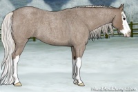 Horse Color:Silver Blue Roan Splash 
