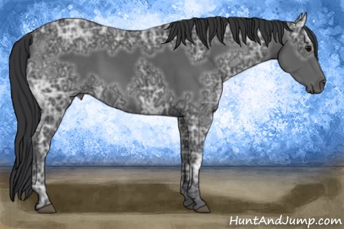 Horse Color:Black Ice 