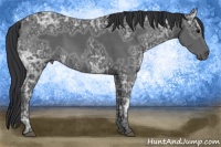 Horse Color:Black Ice 