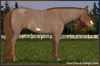 Horse Color:Gray Red Roan Frame 