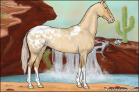Horse Color:Gray Silver Amber Cream Champagne Roan Dun Splash Tobiano Frame Appaloosa Rabicano