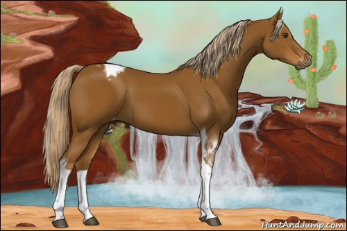 Horse Color:Gray Palomino Tobiano Varnish 