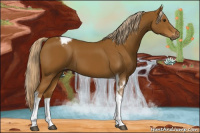 Horse Color:Gray Palomino Tobiano Varnish 