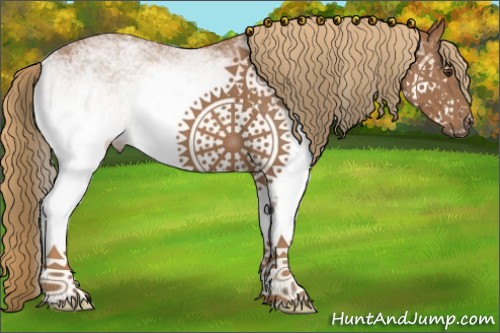 Horse Color:White Spotted Chestnut 