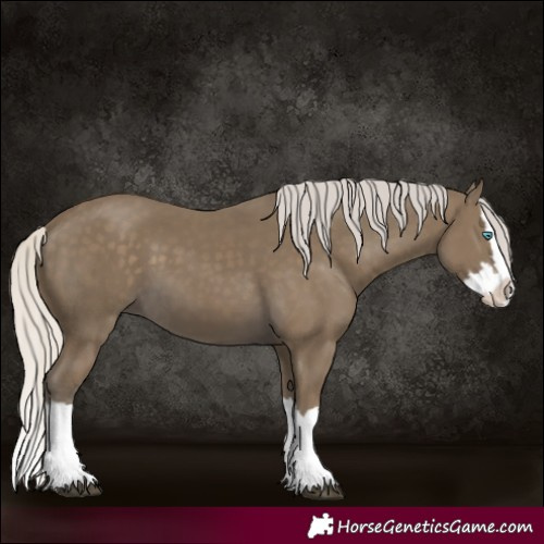 Horse Color:Silver Smoky Black Splash