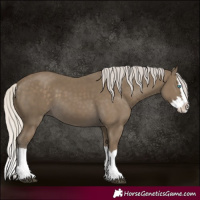 Horse Color:Silver Smoky Black Splash