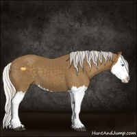 Horse Color:Silver Smoky Black Splash 