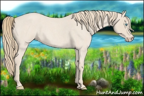 Horse Color:Smoky Creme Roan 
