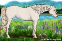 Horse Color:Smoky Creme Roan 