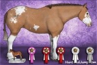 Horse Color:Bay Splash Frame Appaloosa 