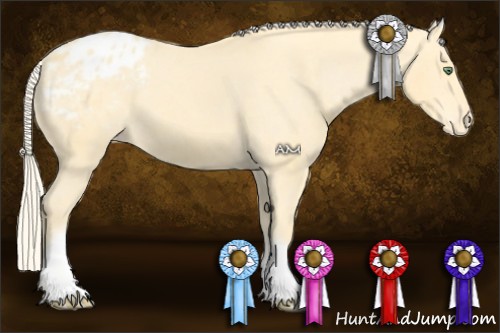 Horse Color:White Spotted Gold Cream Champagne Blanket