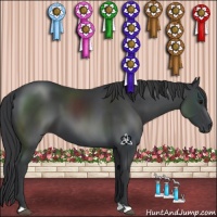 Horse Color:Black 