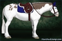 Horse Color:Silver Black Splash Appaloosa 