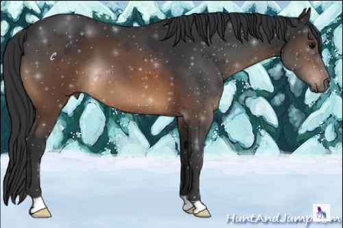 Horse Color:Brown 