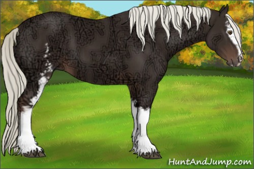 Horse Color:White Spotted Liver Chestnut Ice Sabino 