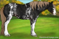 Horse Color:White Spotted Liver Chestnut Ice 