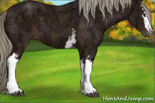 Horse Color:White Spotted Liver Chestnut Ice Sabino 