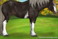 Horse Color:White Spotted Liver Chestnut Ice Sabino 
