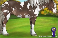 Horse Color:White Spotted Liver Chestnut Sabino