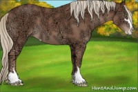 Horse Color:Chestnut Ice Sabino 