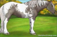 Horse Color:Silver Black Tobiano 