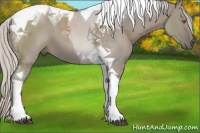 Horse Color:Silver Grullo Tobiano