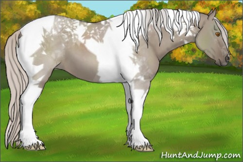Horse Color:Silver Grullo Tobiano
