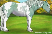 Horse Color:Watercolor Silver Brown Tobiano 