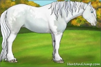 Horse Color:Watercolor Silver Classic Champagne Pearl Tobiano