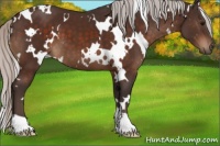 Horse Color:White Spotted Silver Brown