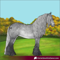 Horse Color:Silver Brown Chinchilla 