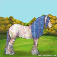 Horse Color:Painted Nacre White Spotted Sable Champagne Pearl Appaloosa