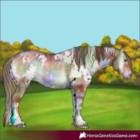 Horse Color:Nacre Plaid White Spotted Red Onyx