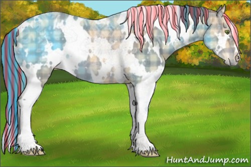 Horse Color:Painted Plaid  White Spotted Sable Champagne Ice Varnish 