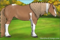 Horse Color:Chestnut Splash Tobiano 