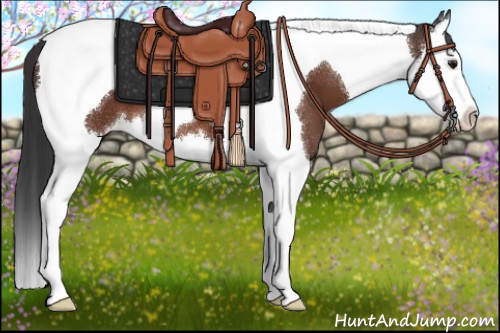 Horse Color:Bay Splash Tobiano Appaloosa 