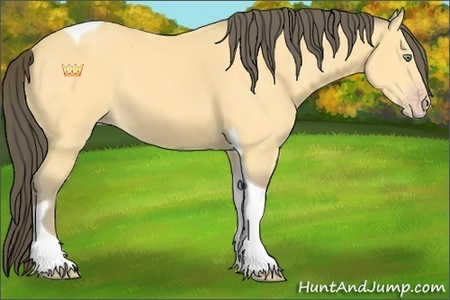 Horse Color:Amber Cream Champagne Tobiano 