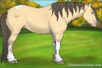 Horse Color:Amber Cream Champagne Tobiano