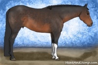 Horse Color:Brown 