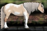 Horse Color:Silver Bay Dun Sabino Tobiano Frame Rabicano 