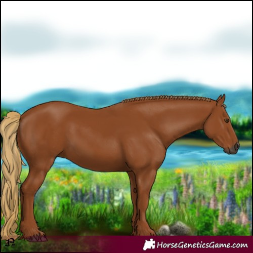 Horse Color:Gray Chestnut 