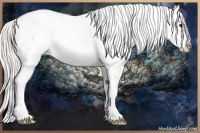 Horse Color:Silver Smoky Black Ice Sabino Appaloosa