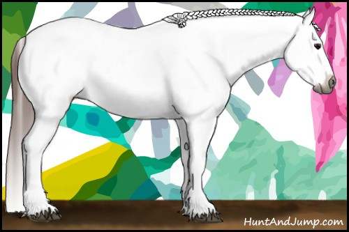 Horse Color:Gray Bay Sabino Tobiano Varnish